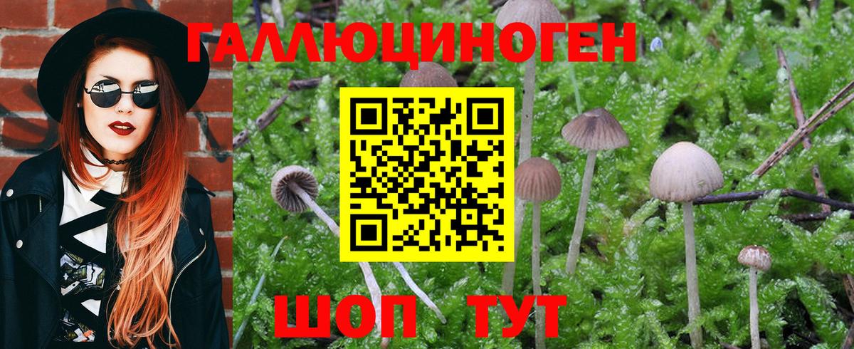 Псилоцибиновые грибы мухоморы Сызрань